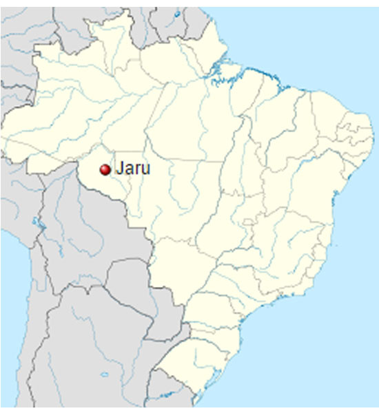 Jaru (RO) fica a 290 km de Porto Velho. Imagem: Reprodução/ Wikipedia.