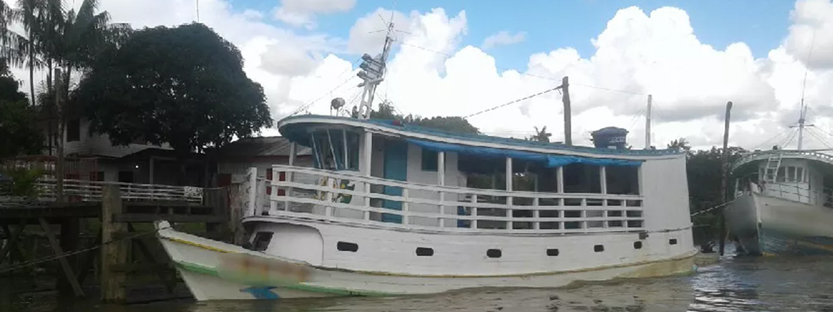 Barco com 20 búfalos é apreendido no Amapá