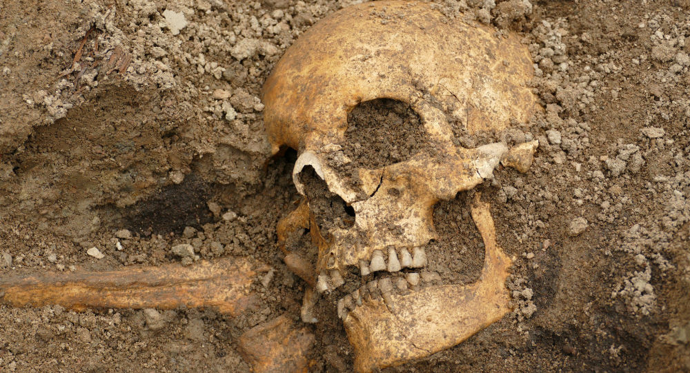 crânio de guerreiro encontrado em barco viking na suécia