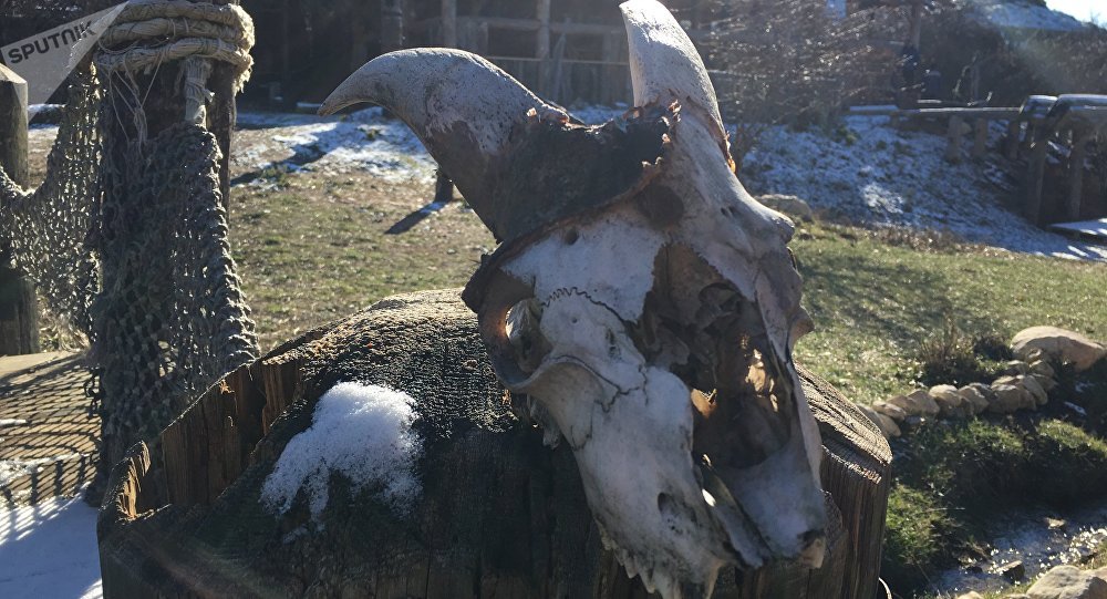 Barco funerário da Era Viking é descoberto na Suécia