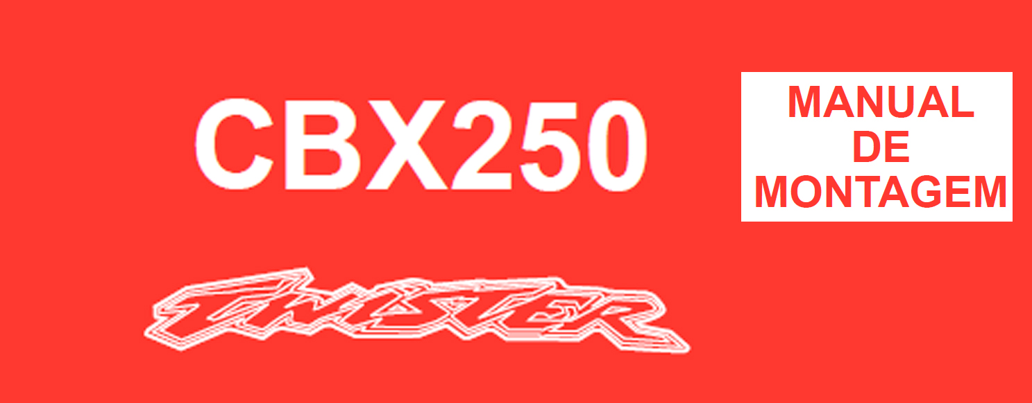 Manual de Montagem CBX 250 2001