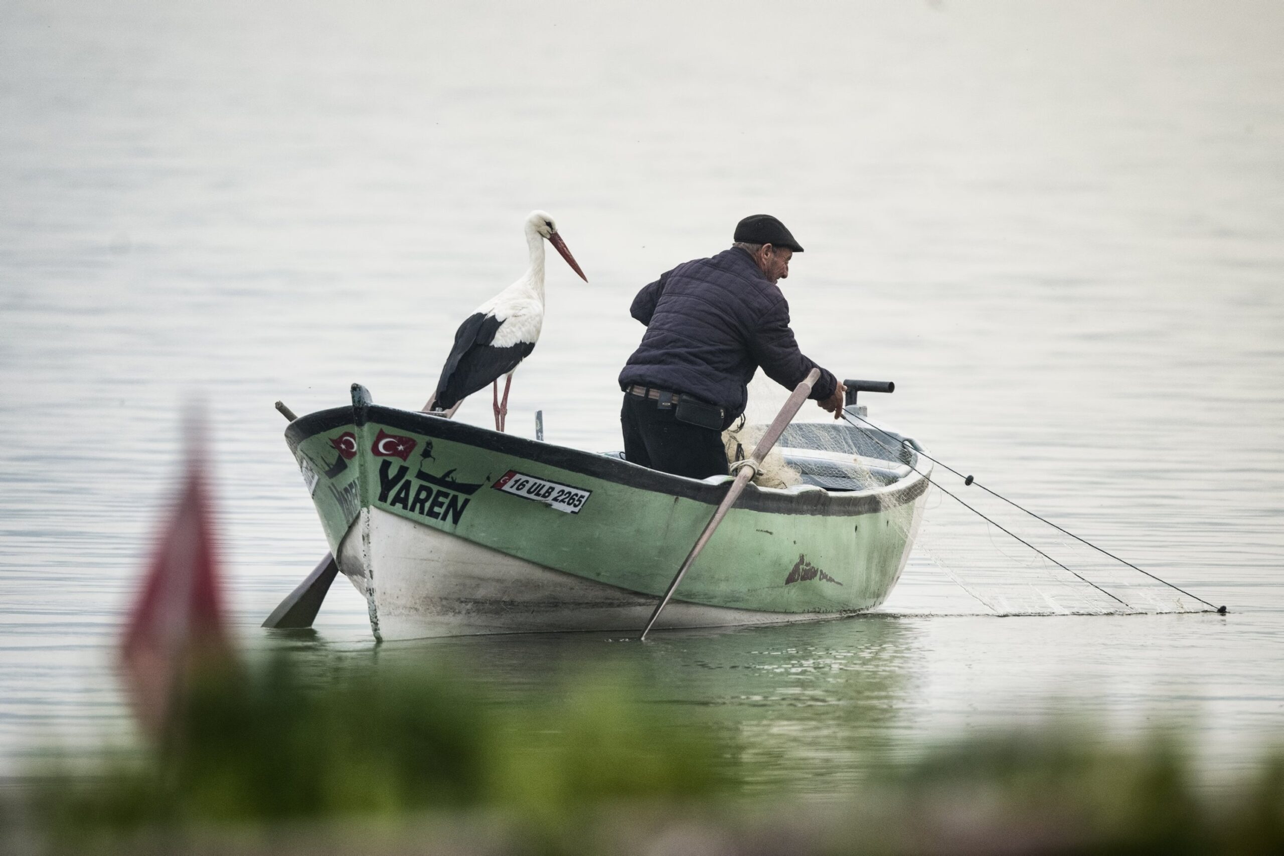 História verídica: Cegonha embarca no barco de um amigo pelo 13° ano